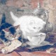 gŃA}@AiE}ÃAt^k[EeB[ VS WWAĩN[EeB[