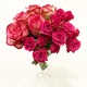 AFRIKA ROSEƉ߂ЂƂƂ