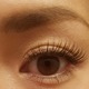 NATURAL LOOK